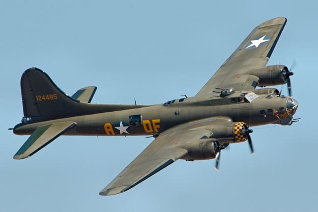 - Warbird