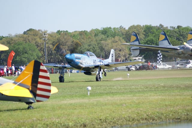 - Warbird