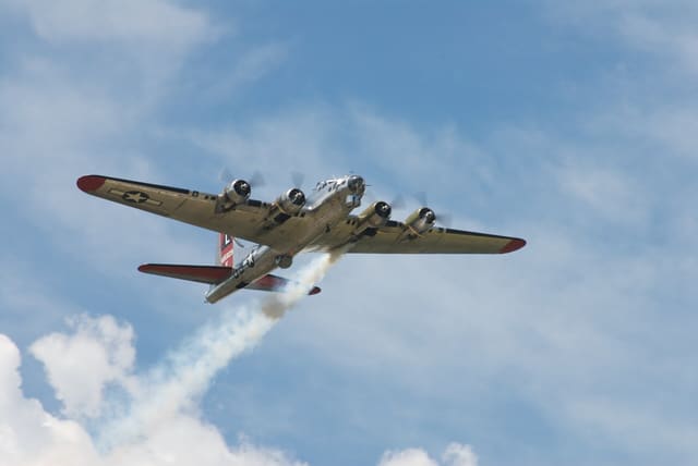 - Warbird