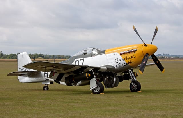 - Warbird