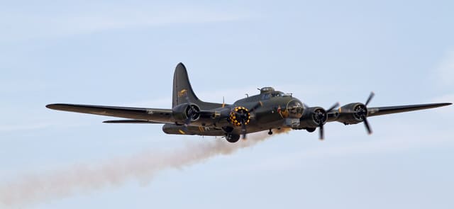 - Warbird