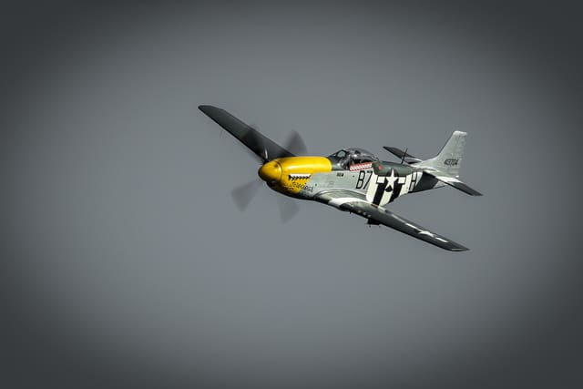 - Warbird