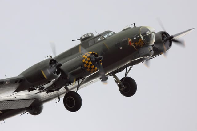 - Warbird