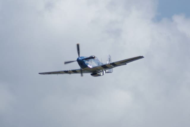 - Warbird