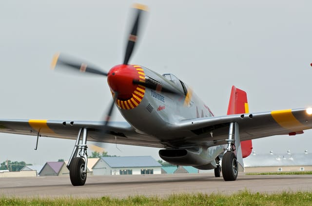 - Warbird