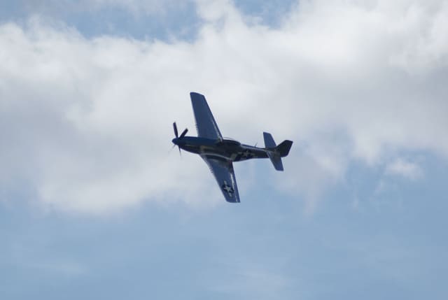 - Warbird