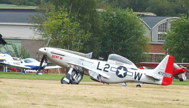 - Warbird