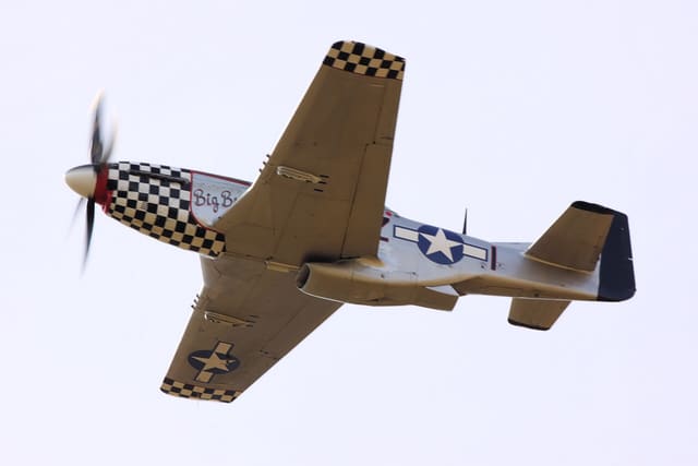 - Warbird