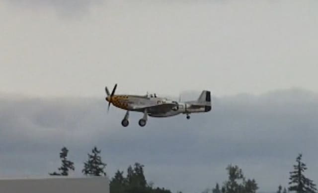 - Warbird