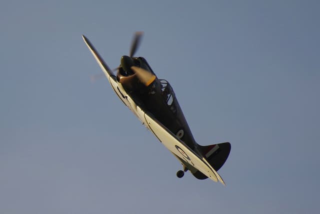 - Warbird