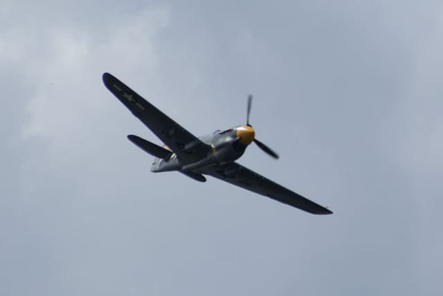 - Warbird