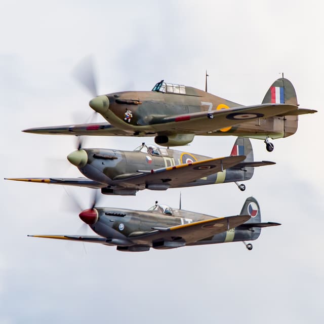 - Warbird