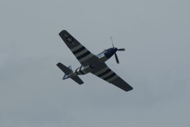 - Warbird