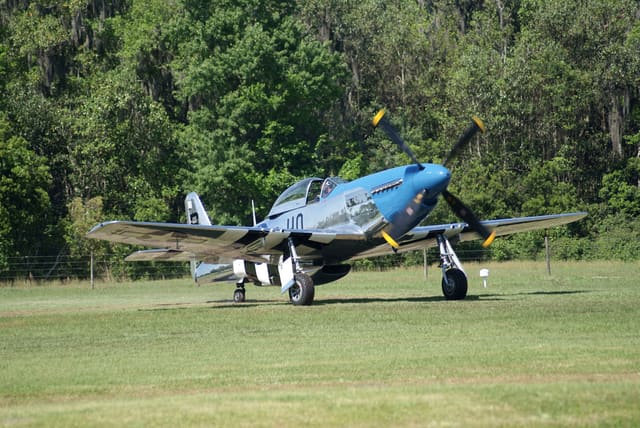 - Warbird