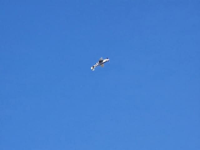 - Warbird