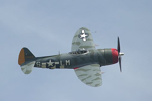 - Warbird