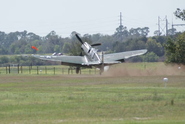 - Warbird