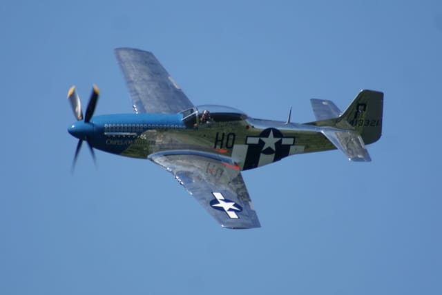 - Warbird