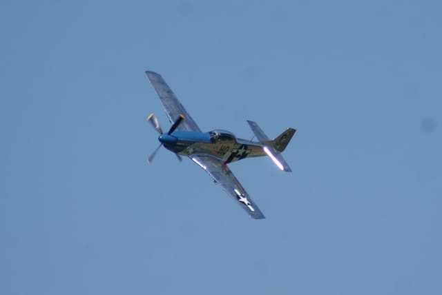 - Warbird