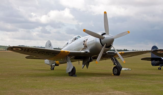 - Warbird