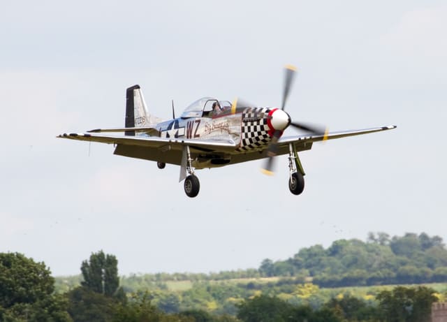 - Warbird