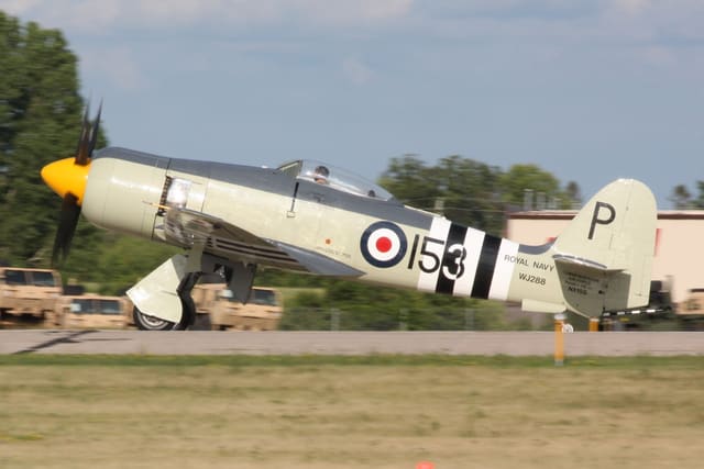 - Warbird