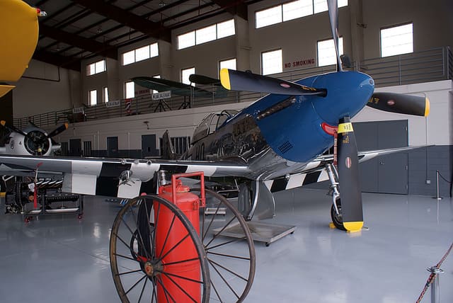 - Warbird