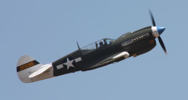  — Warbird