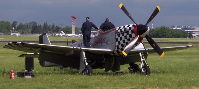 - Warbird