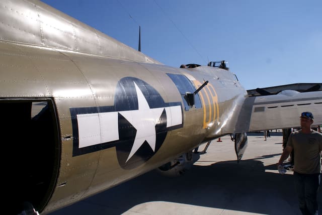 - Warbird