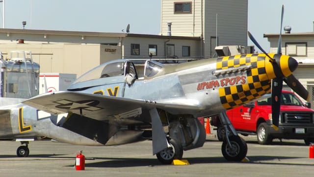 - Warbird
