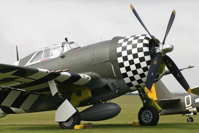 - Warbird