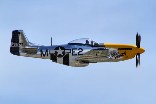 - Warbird