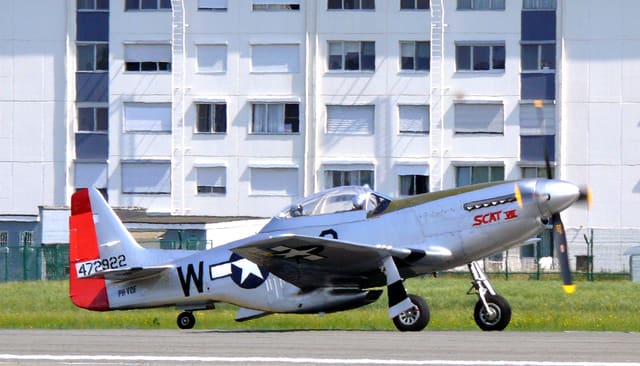 - Warbird