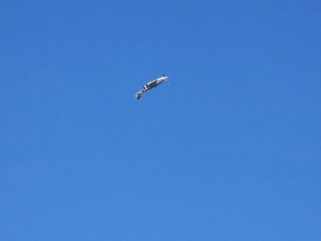 - Warbird