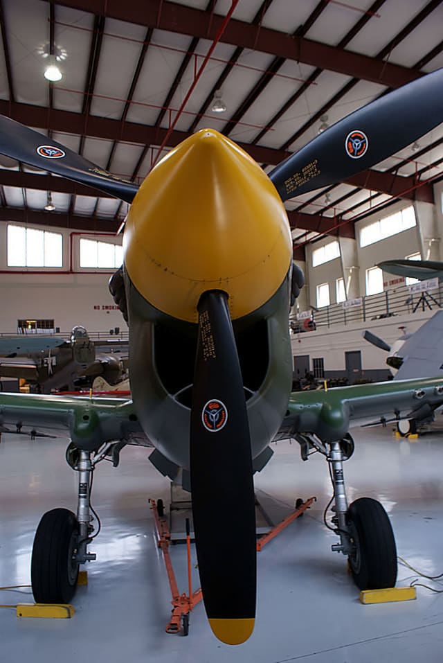 - Warbird