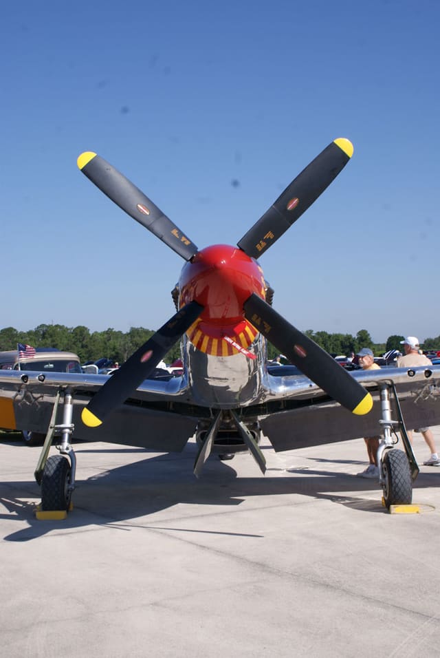 - Warbird