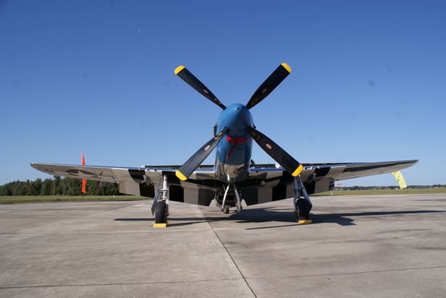 - Warbird