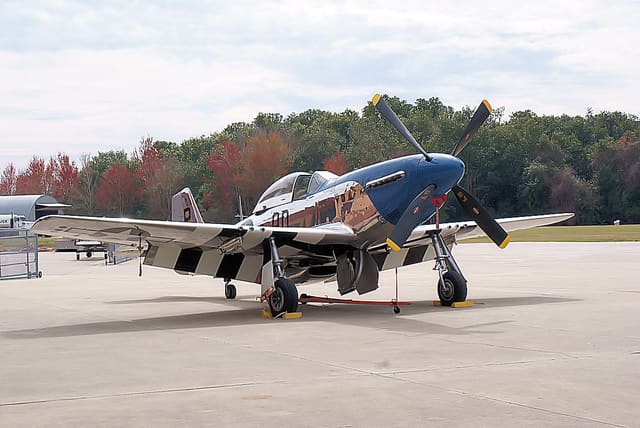 - Warbird