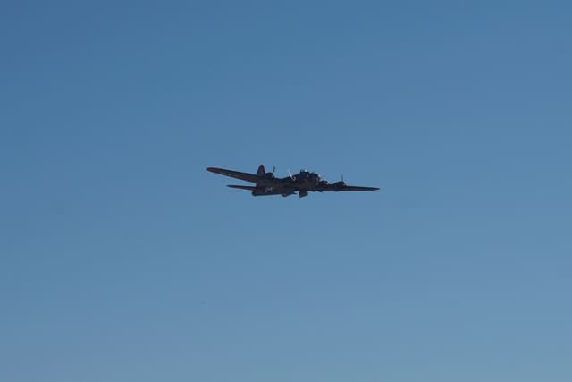 - Warbird