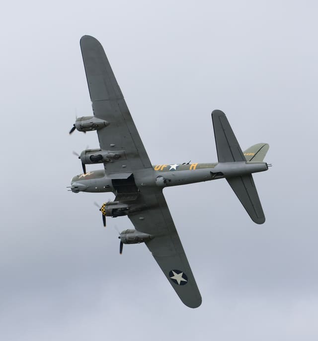 - Warbird