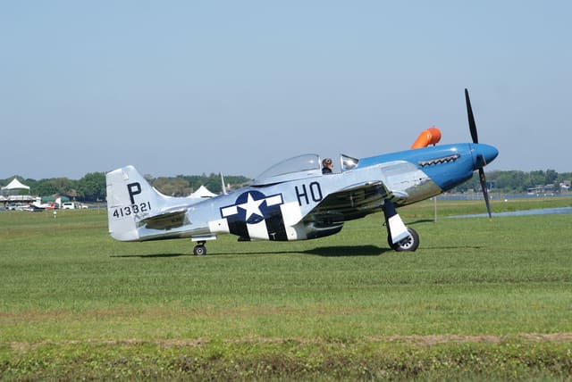 - Warbird