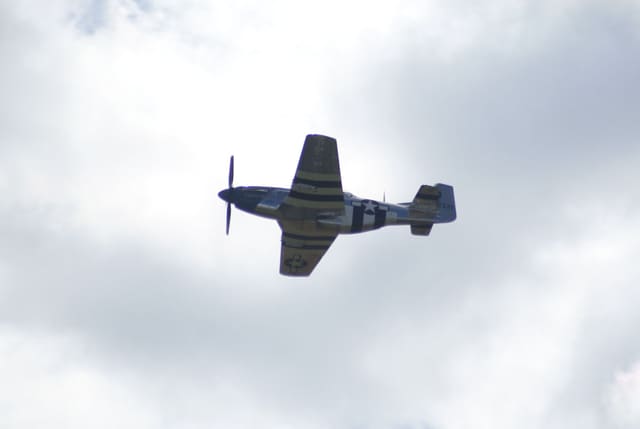 - Warbird