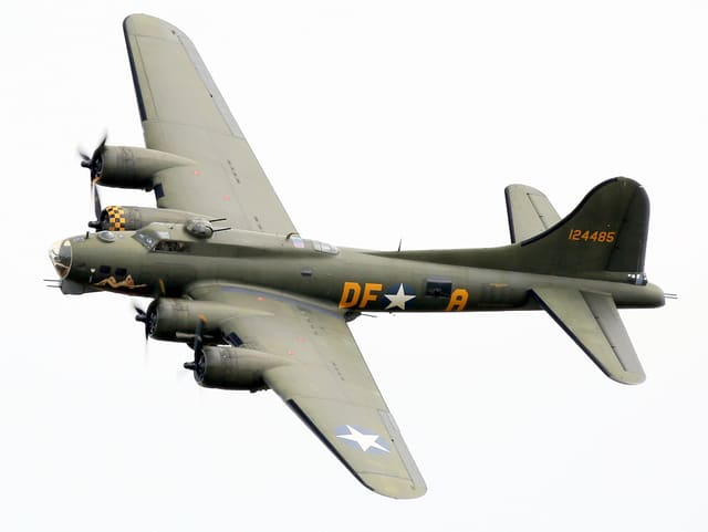 - Warbird