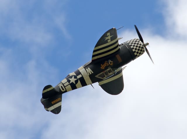 - Warbird