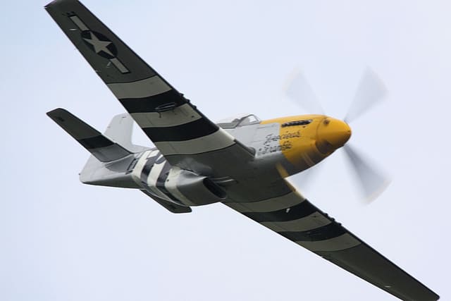 - Warbird