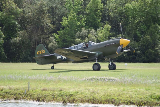 - Warbird