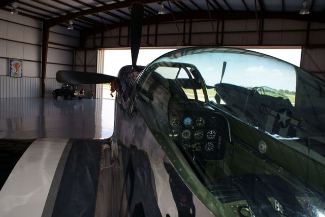 - Warbird