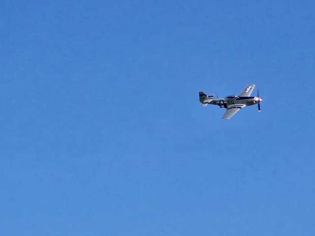 - Warbird