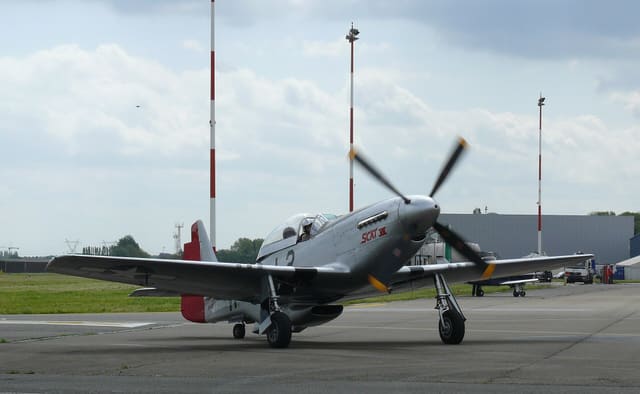 - Warbird